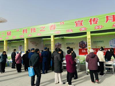 聚焦楊凌&ldquo;雙交會&rdquo; | &ldquo;科技之春&rdquo; 農味足 專家坐&ldquo;診&rdquo;開&ldquo;方&rdquo;忙